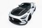 Preview: Maxton Design Prepreg Carbon Fiber Bodykit für Mercedes-AMG GT 63 / 55 / 63 S E Performance C192