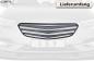 Preview: CSR Kühlergrill Frontgrill für Opel Insignia B GL059