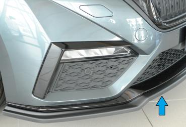 Rieger Spoilerschwert für Skoda Octavia RS (NX) ABS schwarz matt (Lackierung erforderlich) Y 00079031
