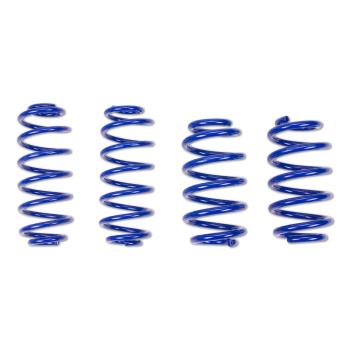 ap Tieferlegungsfedern Set – VA 35 mm / HA 25 mm | ap FS 35/25 für Ford Fiesta JAS/JBS