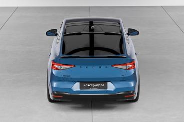 CSR Dachfinnen für Skoda Enyaq Coupe DF013-L schwarz matt (Lackierung erforderlich)