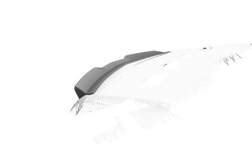 CSR Heckspoiler | Heckflügel mit ABE für Opel GT (Roadster) HF153-C Carbon Look Hochglanz (keine Lackierung erforderlich)