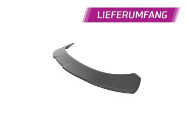 CSR Heckspoiler | Heckflügel mit ABE für Mini F58 Coupe HF972-L schwarz matt (Lackierung erforderlich)