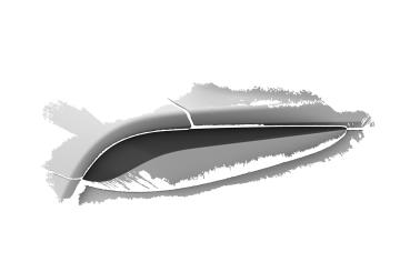 CSR Rücklichtblenden für Toyota GR Supra (A90) RB022-L Lackierung erforderlich (unlackiert)