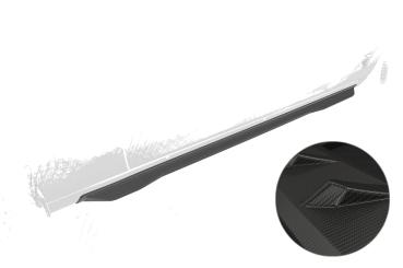 CSR Seitenschweller für Dodge Challenger (3.Gen) SS565-M Carbon Look matt strukturiert (keine Lackierung erforderlich)