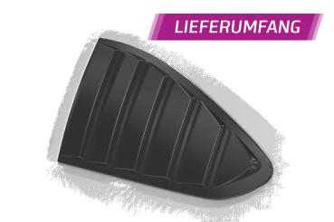 CSR Seitenscheibenblenden mit ABE für Ford Focus MK2 3-Türer SSB002-M Carbon Look matt strukturiert (keine Lackierung erforderlich)