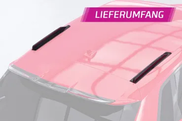 CSR Dachfinnen mit ABE für Audi A3 / S3 / RS3 (8Y) Sportback DF041-G Glossy schwarz Hochglanz (keine Lackierung erforderlich)