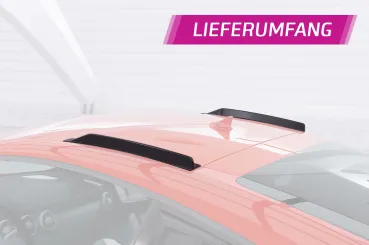 CSR Dachfinnen mit ABE für Audi TT / TTS / TTRS FV 8S Coupe DF014-G Glossy schwarz Hochglanz (keine Lackierung erforderlich)