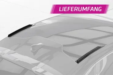 CSR Dachfinnen mit ABE für Cupra Tavascan DF020-L Lackierung erforderlich (unlackiert)