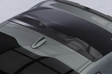 CSR Heckscheibenblend mit ABE für Polestar 2 HSB117-K Kupfer matt (keine Lackierung erforderlich)