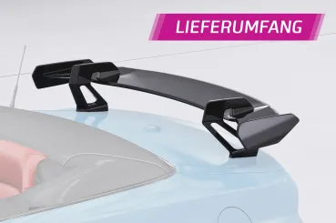 CSR Schwanenhals Heckflügel für Ford Mustang MK6 Cabrio SHF047-D01-F
