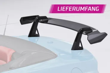 CSR Schwanenhals Heckflügel mit ABE für Ford Mustang MK6 Cabrio SHF047-D02-C mit Carbon-Flügelbrett