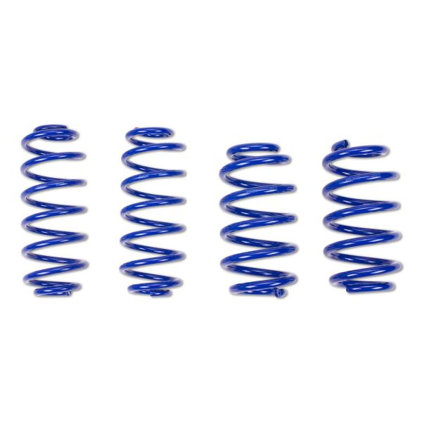 ap Tieferlegungsfedern Set – VA 30 mm / HA 20 mm | ap FS 30/20 für Ford Puma Typ ECT