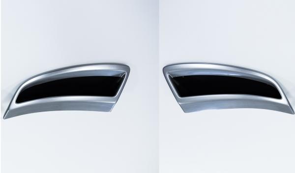 Milotec - Auspuff-Dummies Alu-Brush-Design für Skoda Karoq NU bis Facelift ohne Scout und Sportline