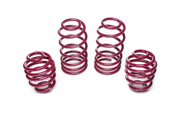 Vogtland Sportfedernsatz 950003 für Audi A3 S3 8L / Audi TT 8N / Seat Leon 1M 4motion / VW Golf IV & Bora 4motion – Tieferlegung 25–40 mm