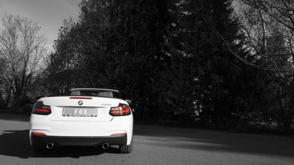Fox passend für BMW F23 - 220i Cabrio Endschalldämpfer quer Ausgang rechts/links - 1x90 Typ 12 rechts/links BM180005-051
