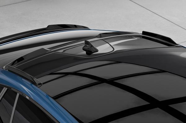 CSR Dachfinnen für Skoda Enyaq Coupe DF013-L schwarz matt (Lackierung erforderlich)