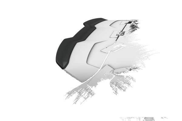 CSR Heckspoiler | Heckflügel mit ABE für Audi RS3 8V Sportback HF109-C Carbon Look Hochglanz (keine Lackierung erforderlich)