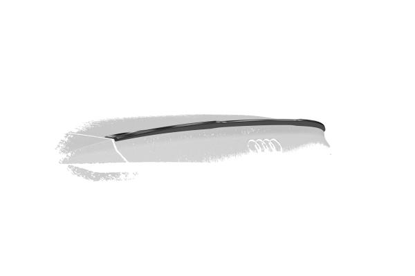 CSR Heckspoiler | Heckflügel mit ABE für Audi A5 / S5 / RS5 (F5) HF158-C Carbon Look Hochglanz (keine Lackierung erforderlich)