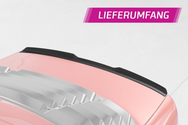 CSR Heckspoiler | Heckflügel mit ABE für BMW 3er E46 Coupe / Cabrio HF162-C Carbon Look glänzend (keine Lackierung erforderlich)