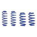 ap Tieferlegungsfedern Set – VA 30 mm / HA 20 mm | ap FS 30/20 für Ford Puma Typ ECT