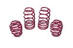 Vogtland Sportfedernsatz 950003 für Audi A3 S3 8L / Audi TT 8N / Seat Leon 1M 4motion / VW Golf IV & Bora 4motion – Tieferlegung 25–40 mm
