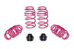 Vogtland Gewindefedernsatz 930004 für Audi A3 8Y, Seat Leon 5F/ KL, VW Golf VII/VIII – höhenverstellbar