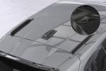 CSR Dachfinnen für BMW 1er F70 DF015-C Carbon Look Hochglanz (keine Lackierung erforderlich)