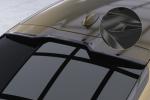 CSR Heckspoiler | Heckflügel mit ABE für BMW X6 (G06) HF869-C Carbon Look Hochglanz (keine Lackierung erforderlich)