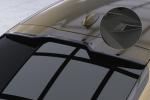 CSR Heckspoiler | Heckflügel mit ABE für BMW X6 (G06) HF869-M Carbon Look matt strukturiert (keine Lackierung erforderlich)