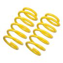 ST Tieferlegungs Sportfedern – VA 40 mm | ST Federn 40/.. für Citroen Xsara
