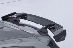 CSR Schwanenhals Heckflügel mit ABE für BMW 1er F40 Basis / M Sport SHF073-F01